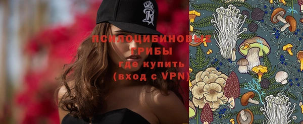 мяу мяу мука Пестово