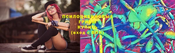 мяу мяу мука Пестово