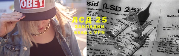 гашик Покров