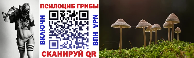 Галлюциногенные грибы MAGIC MUSHROOMS  Купить закладки  Тверь 